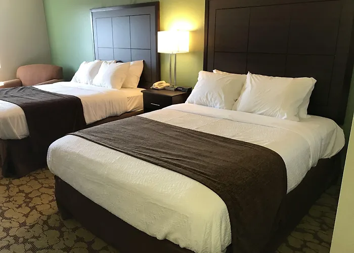 Surestay Plus Hotel By Best Western Bettendorf